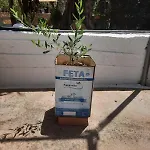 Et In Arkadia Ego