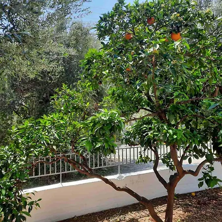 Дом отдыха Et In Arkadia Ego